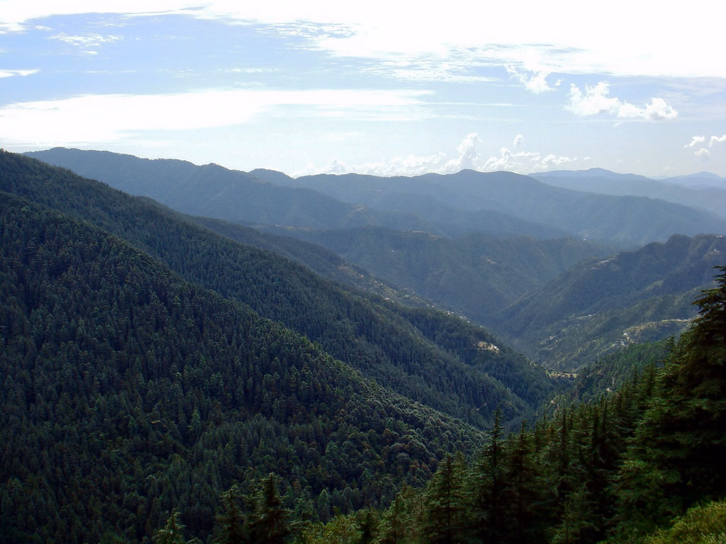 Explore The Majestic Green Valley 