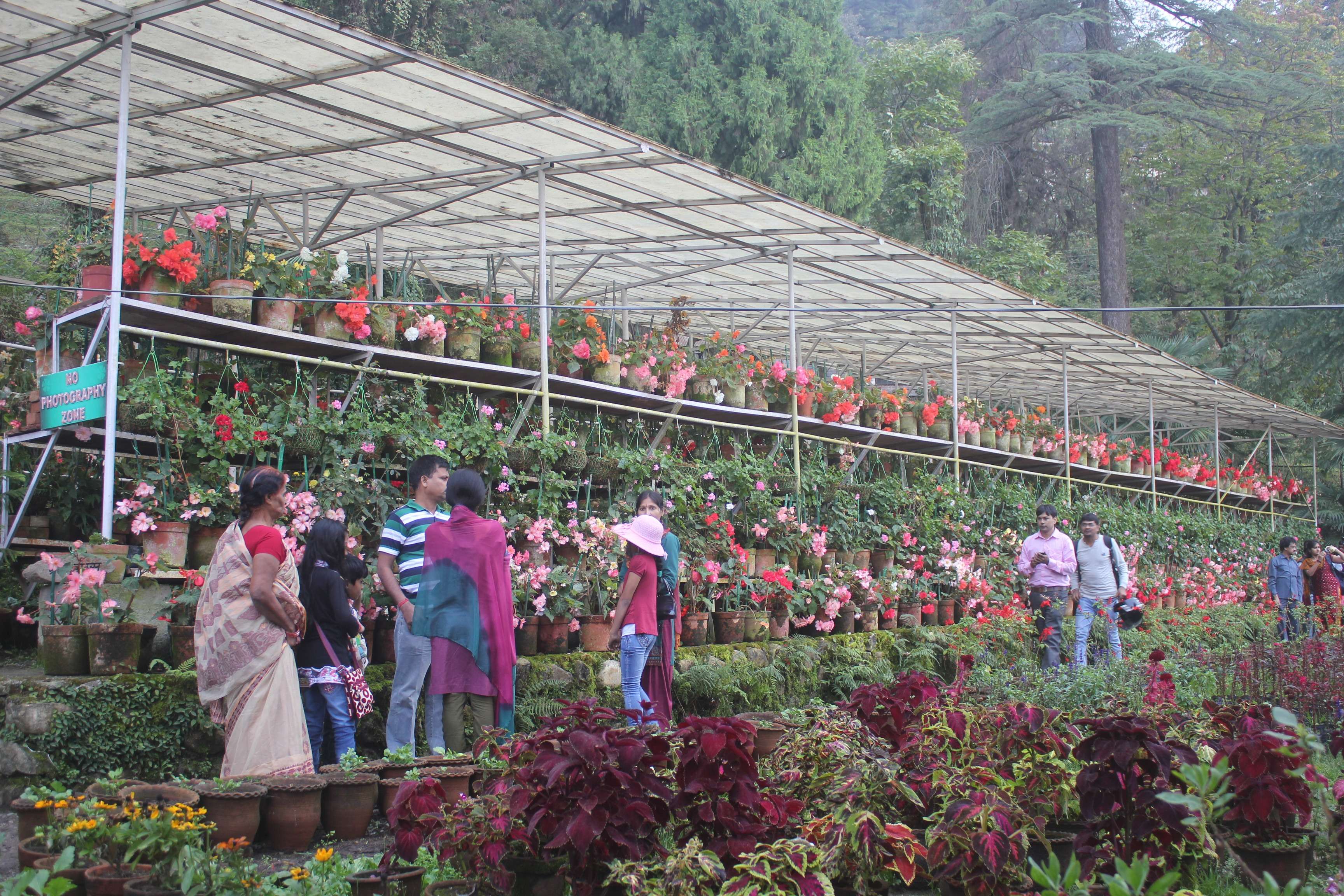 Visit Company Garden