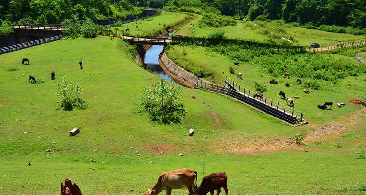 Chiklihole Reservoir