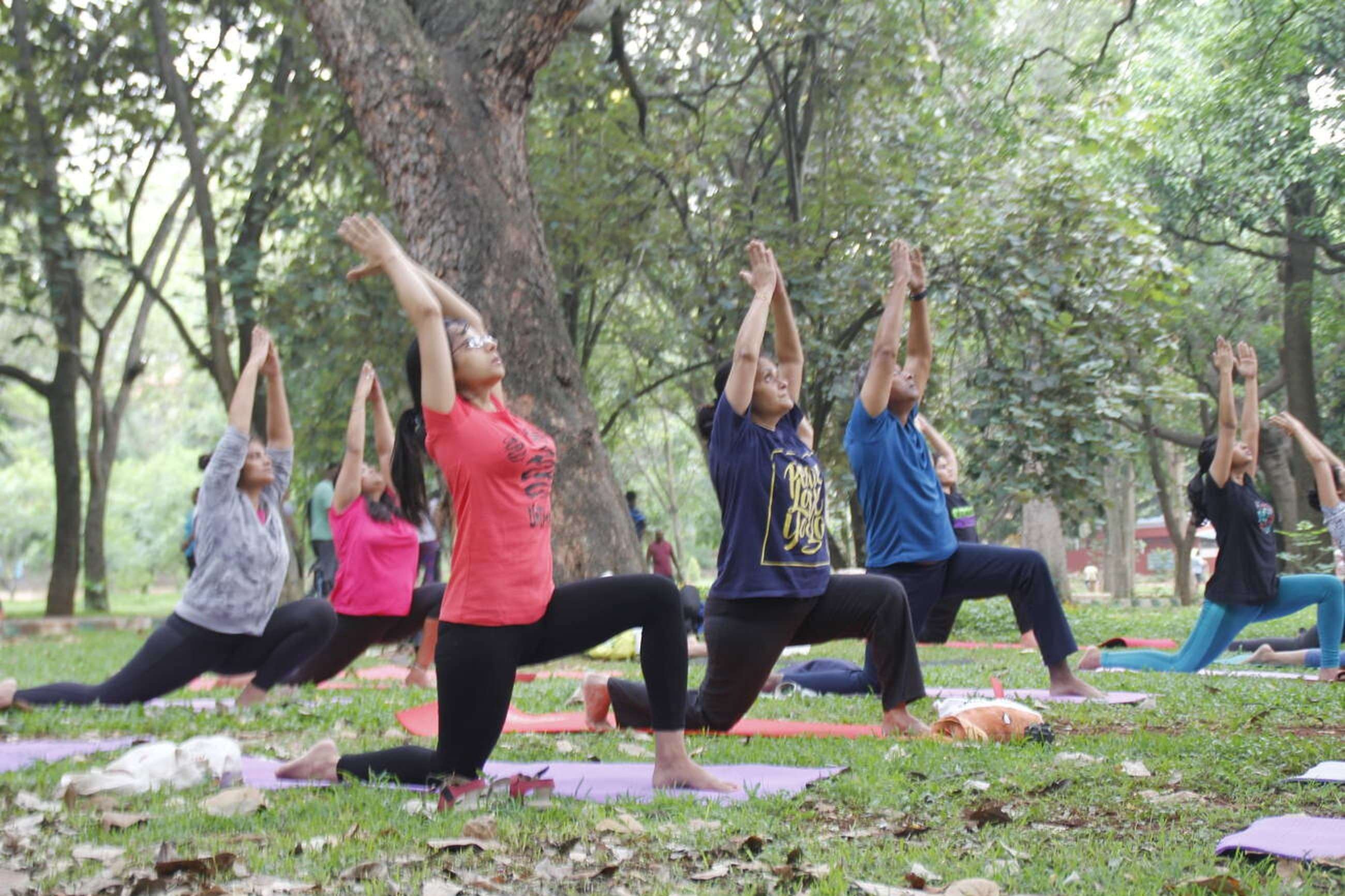 Ayurveda, Wellness & Yoga