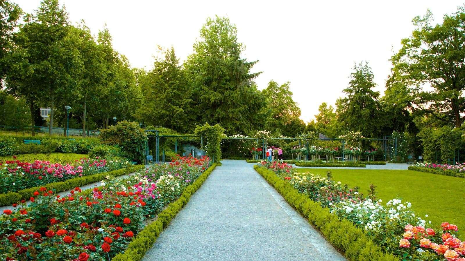Rosengarten (Rose Garden)