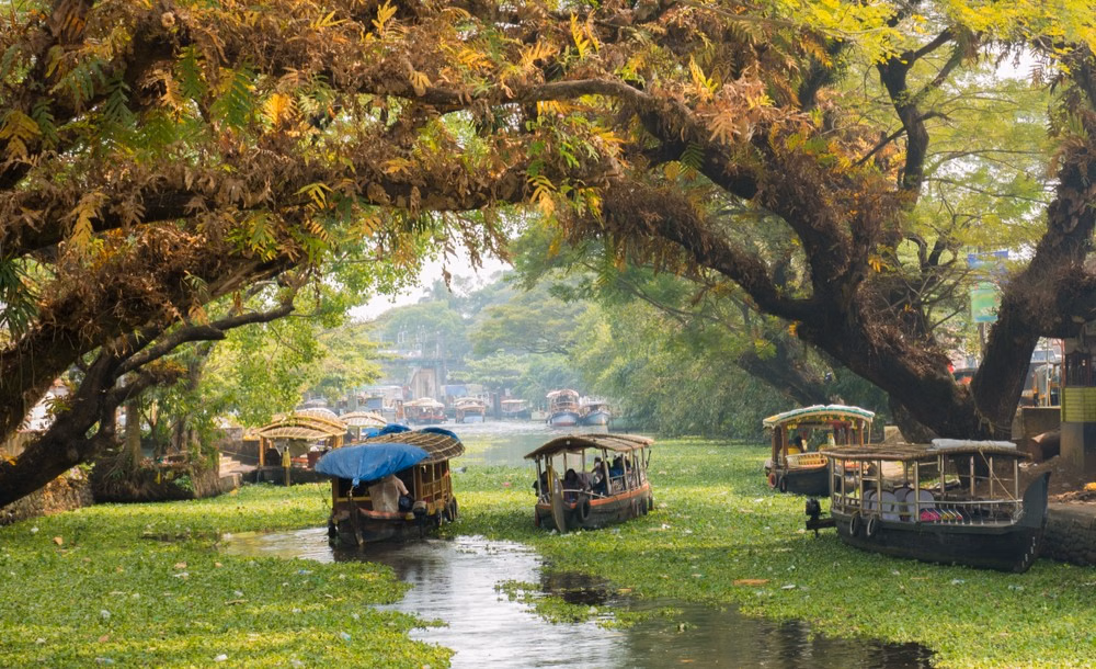 Best Time to Visit Alleppey {{year}} - Key Highlights & Travel Tips