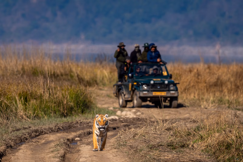 Jim Corbett National Park, Uttarakhand