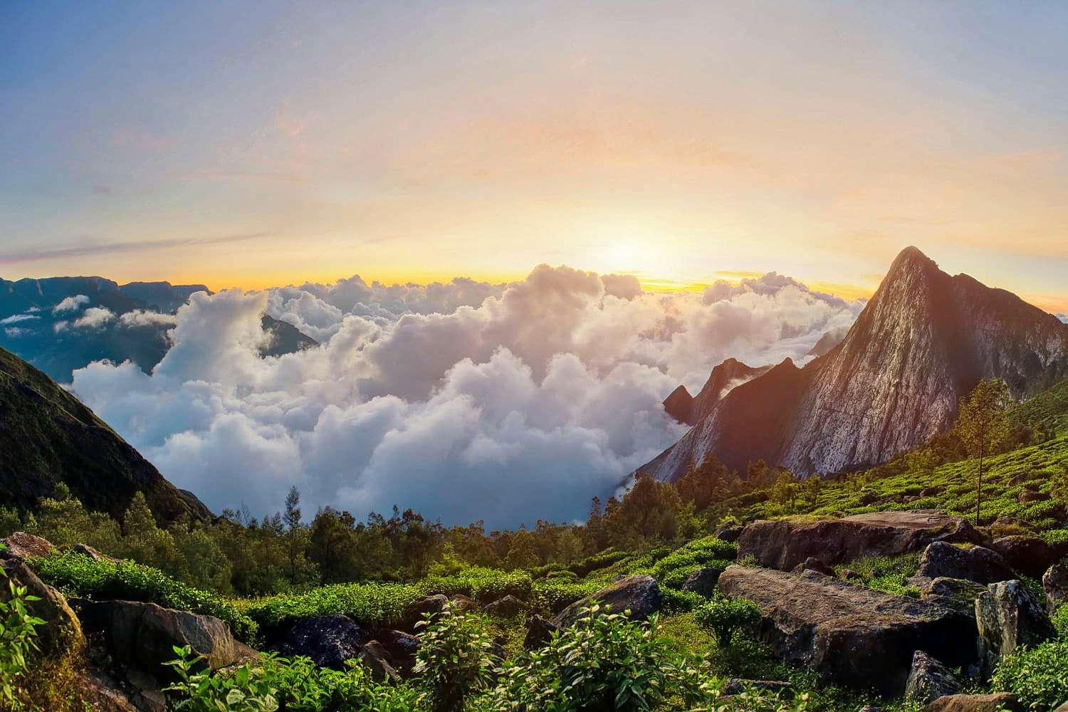 Go Trekking to the Peak of Meesapulimala