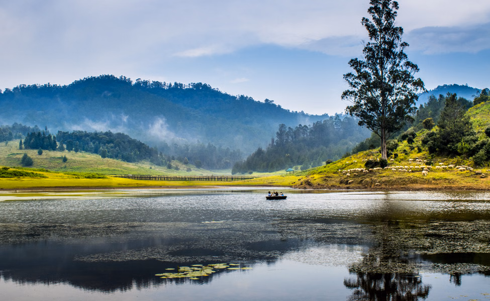 Kodaikanal Lake