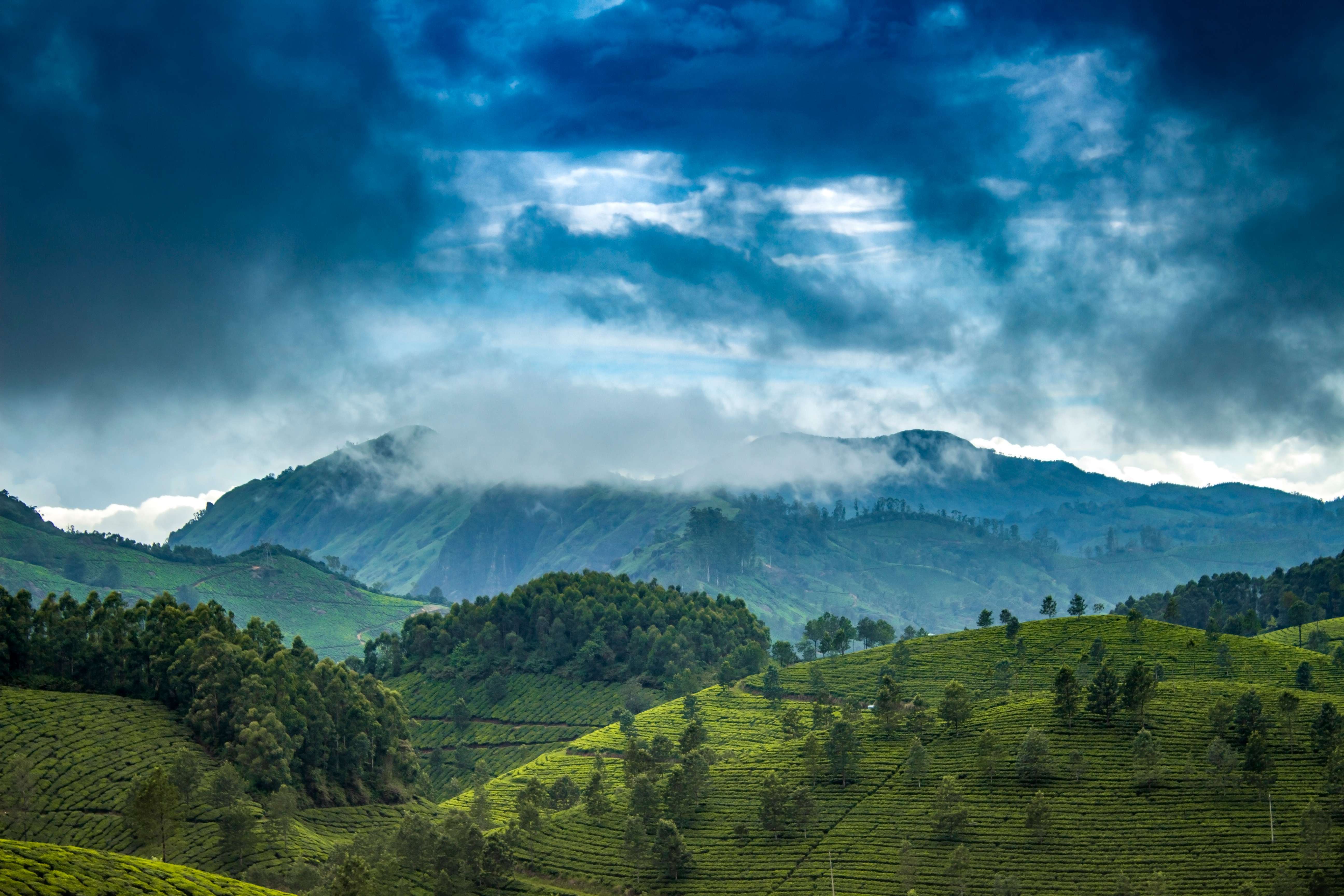Munnar in December - Places to Visit, Things to Do & Travel Guide