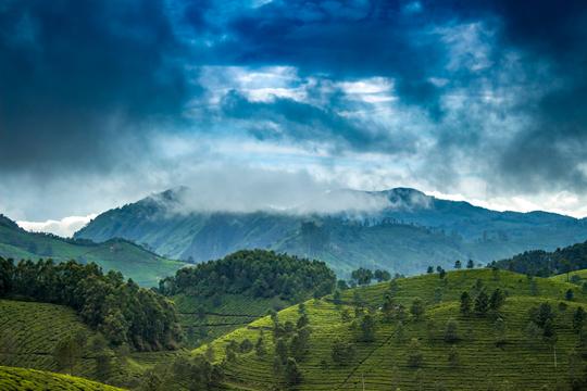 Munnar in December - Places to Visit, Things to Do & Travel Guide
