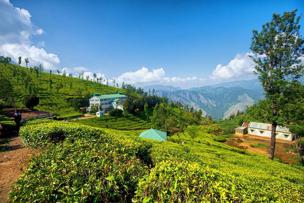 Kolukkumalai Tea Estate