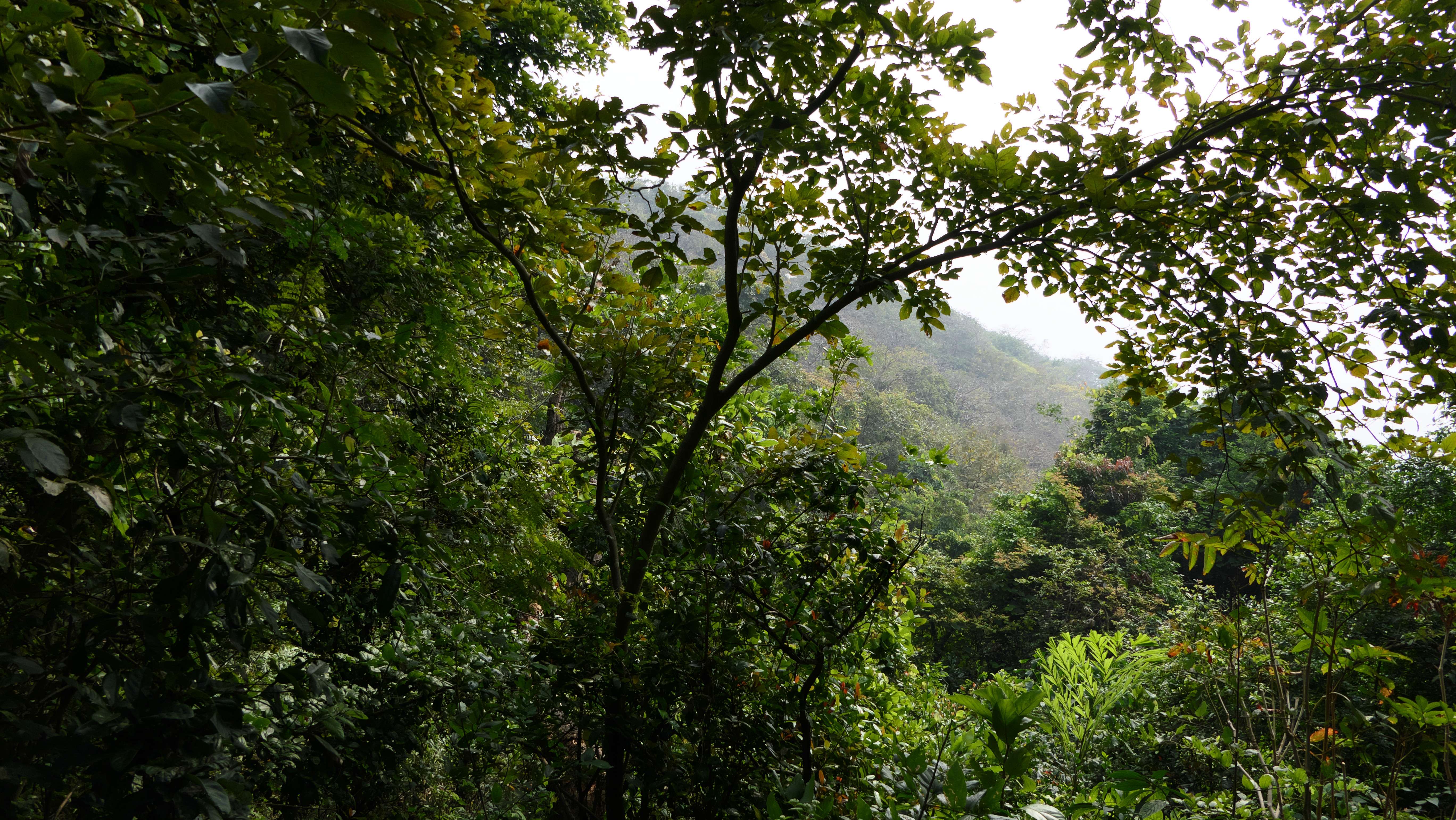 Kanakeshwar Forest & Temple