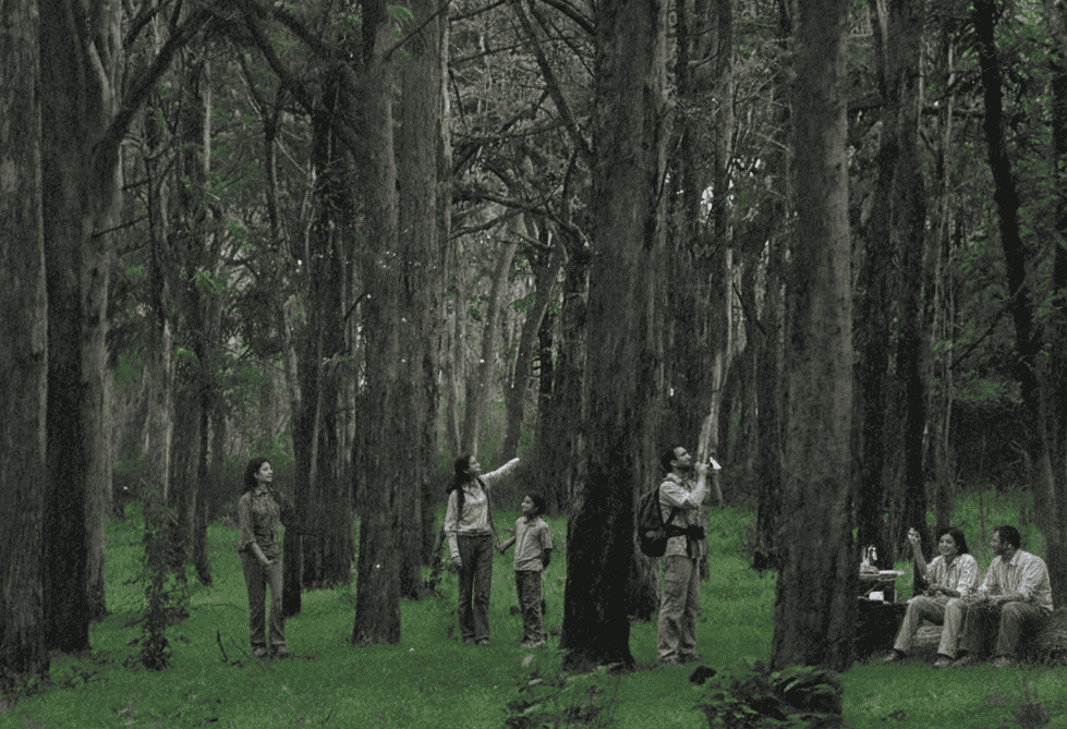 Bandipur / Masinagudi