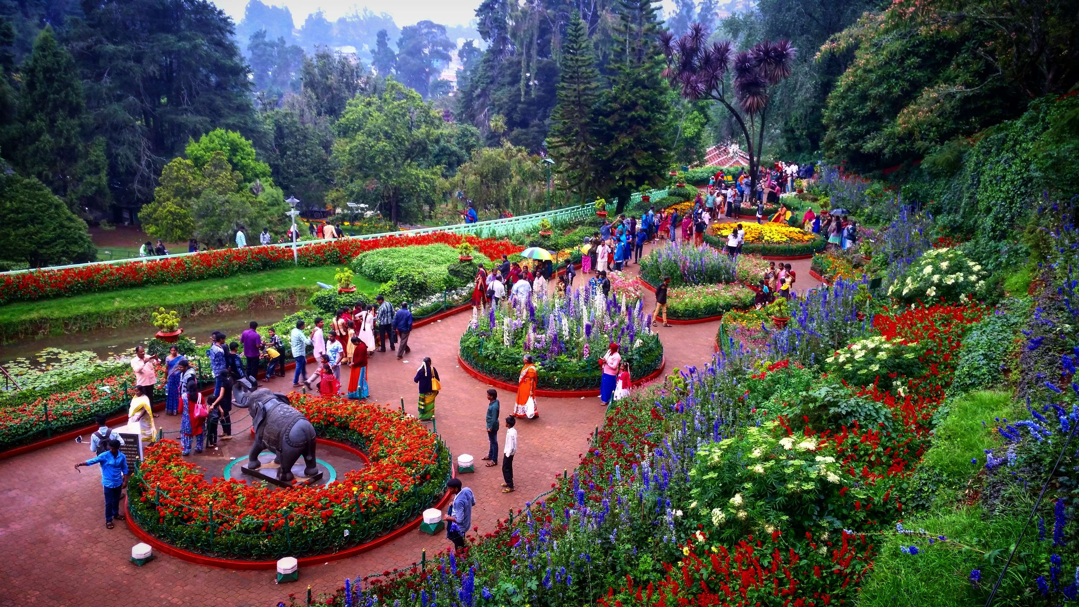 Ooty