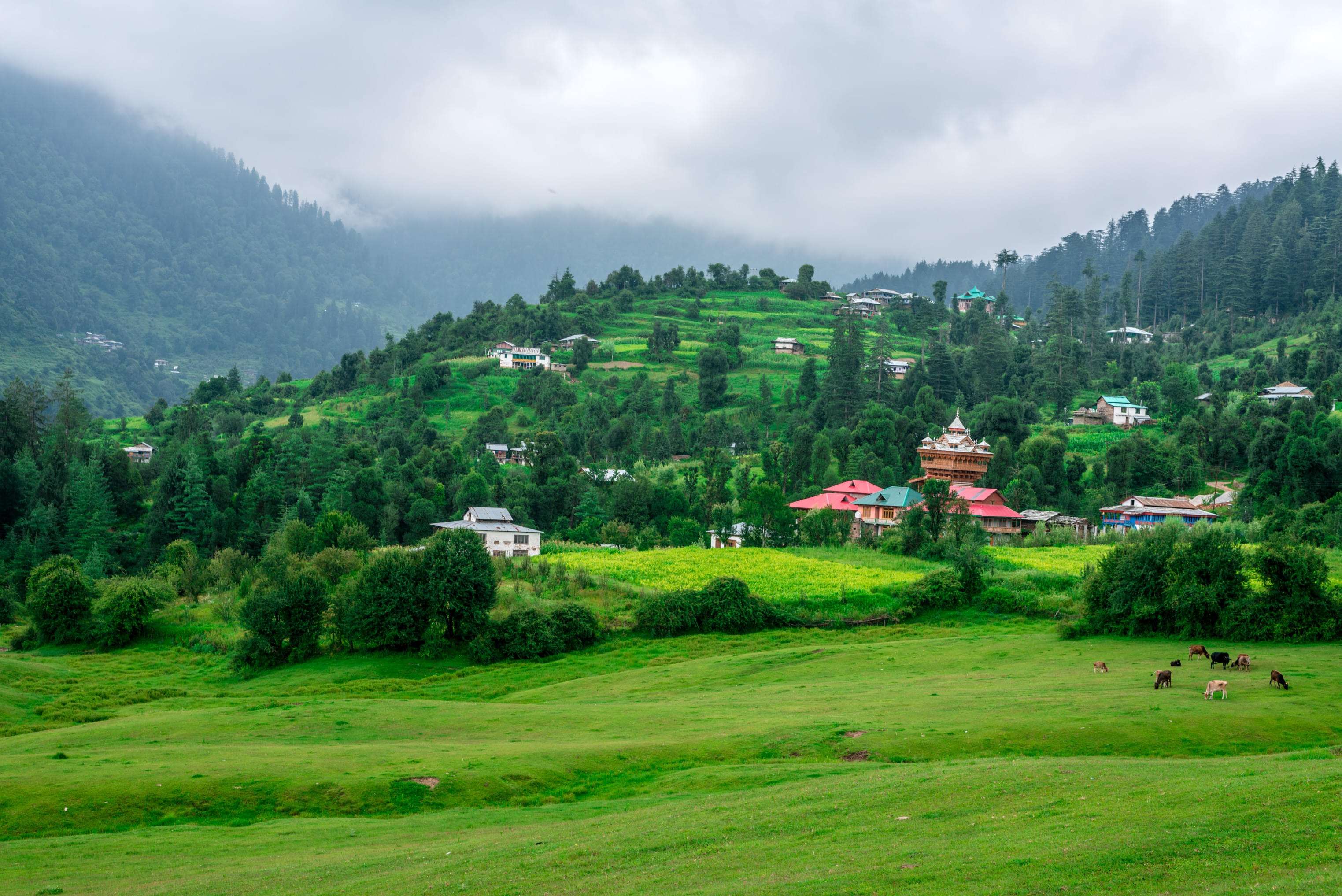 Kullu