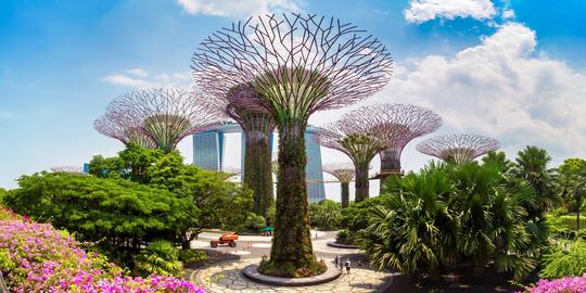 Gardens by the Bay