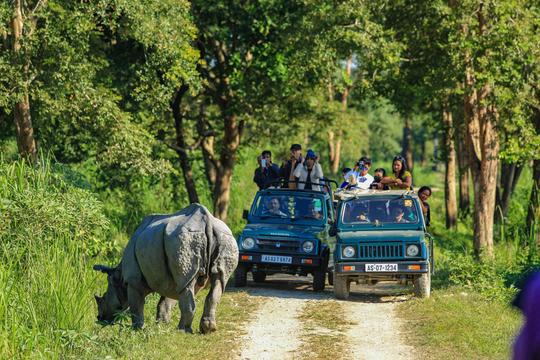 Kaziranga National Park (Assam)