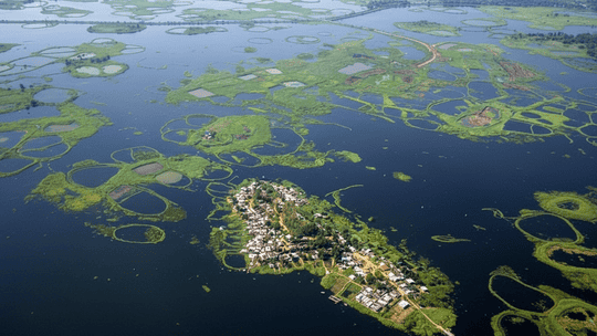 Keibul Lamjao National Park (Manipur)