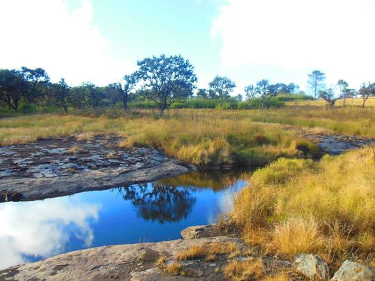 Phawngpui Blue Mountain National Park (Mizoram)