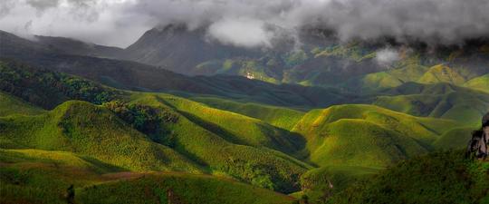 Dzukou Valley (Nagaland)