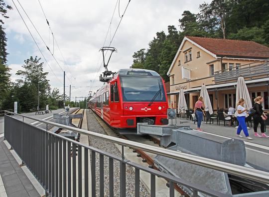 Take A scenic Train Ride To Uetliberg And Hike Down
