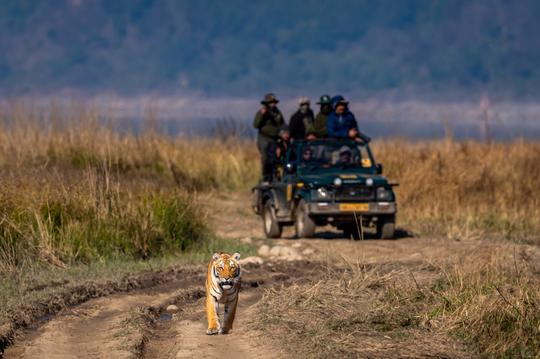 Jim Corbett National Park