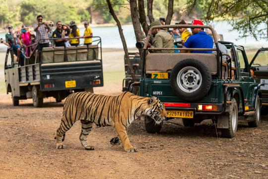 Ranthambore National Park
