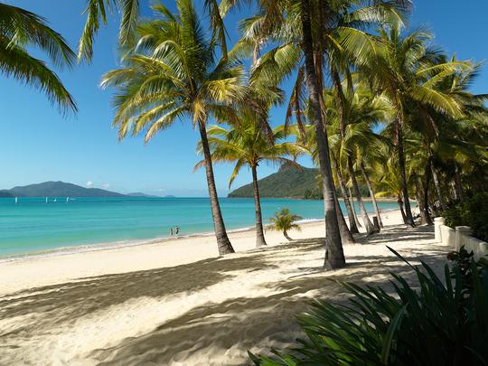 1768995473 hamilton island