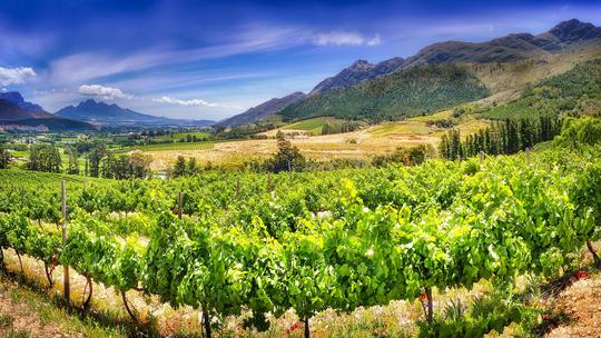 Franschhoek