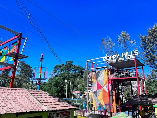 Poppy Hills Adventure