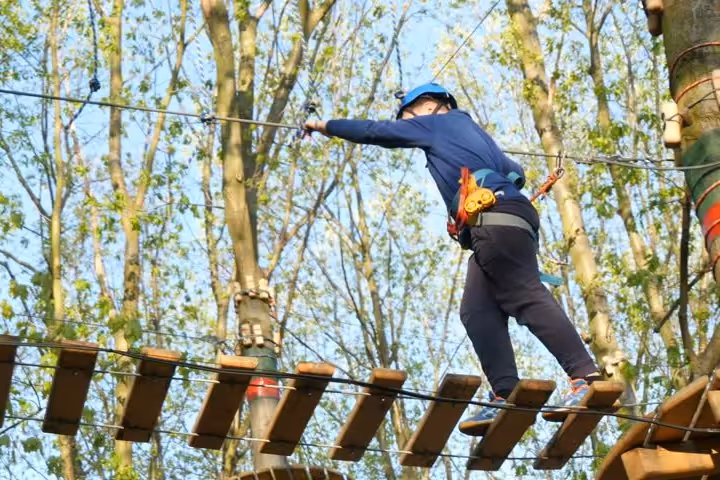 Grange TreeTop Adventure