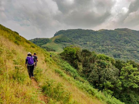 Agumbe Rainforest Trek, Shimoga – 340 km from Bangalore